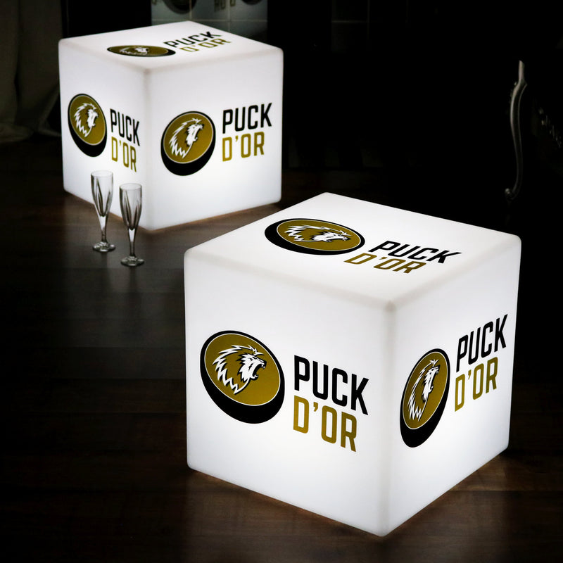 Gepersonaliseerde promotionele LED kubus, stoel, kruk, 60cm lichtbak display, reclameverlichting