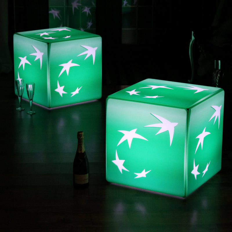 Gepersonaliseerde lichtbak met logo, oplaadbare LED verlicht display, backlit, kubus